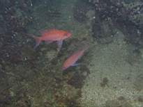 cb_126.JPG