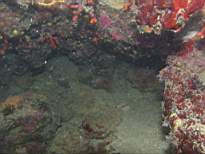 cb_127.JPG