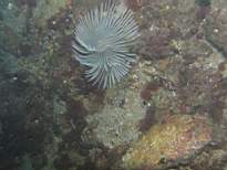cb_128.JPG