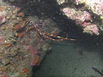 cb_129.JPG