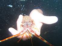 cb_132.JPG