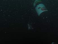 cb_143.JPG