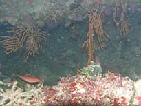 cb_151.JPG