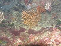 cb_154.JPG