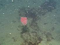 cb_167.JPG