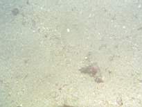 cb_169.JPG