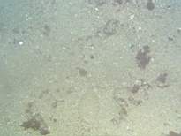 cb_170.JPG