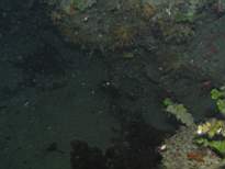 cb_178.JPG