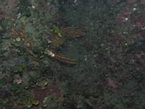 cb_184.JPG