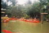 ballade en kayak