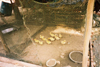 poussins au vilage de p�cheur