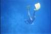 Apn� au pain se sucre